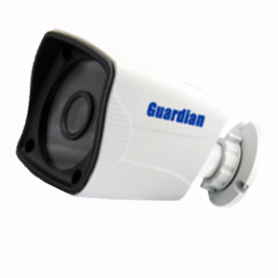 Camera IP GUARDIAN IBF2010