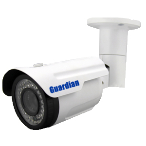 Camera IP GUARDIAN IBF4010